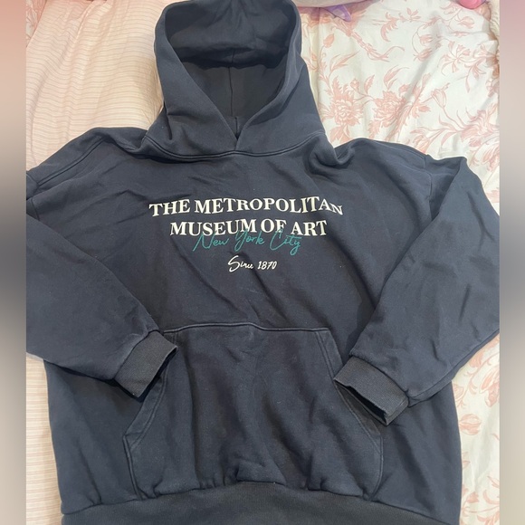 PacSun The Metropolitan Museum of Art Hoodie - Picture 1 of 2